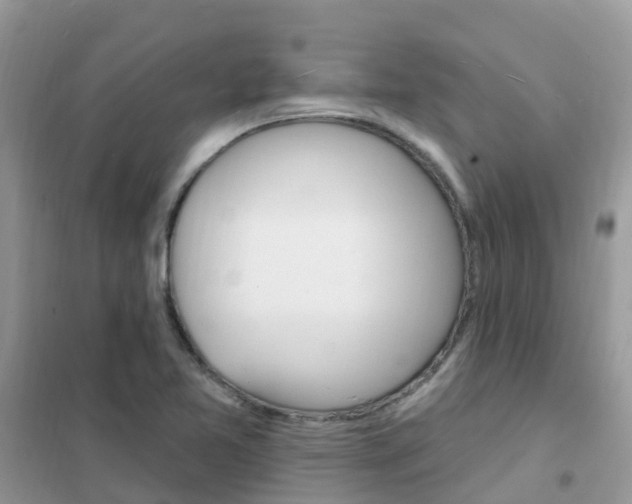 X0000102361365200808010949