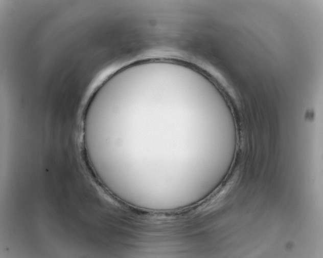 X0000102361366200808010949