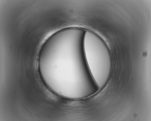 X0000102361367200808010949