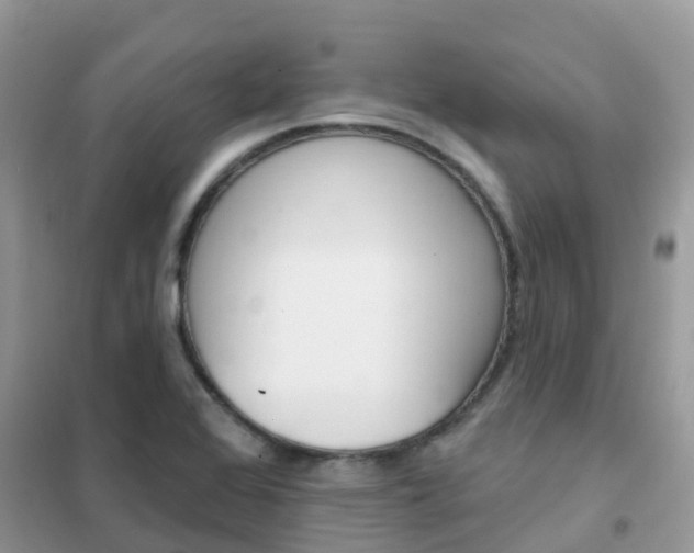 X0000102361368200808010949