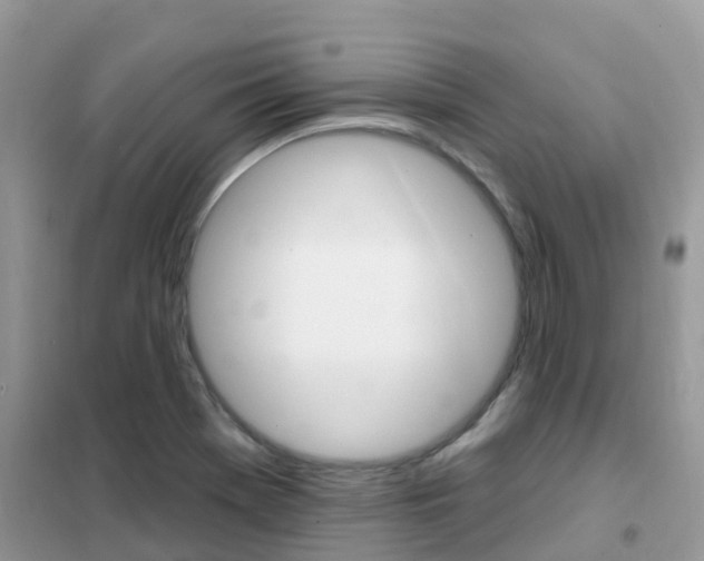 X0000102361369200808010949