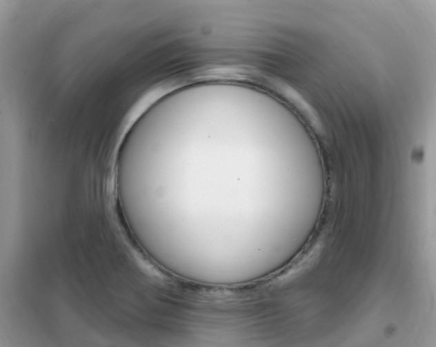 X0000102361370200808010949