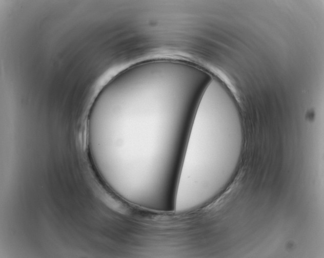 X0000102361371200808010949
