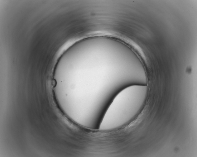 X0000102361373200808010949