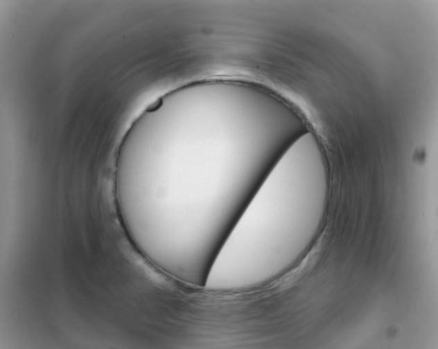 X0000102361374200808010949