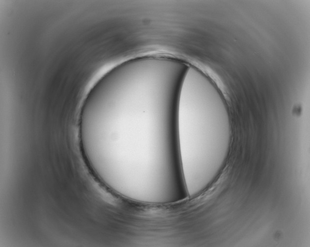 X0000102361375200808010949