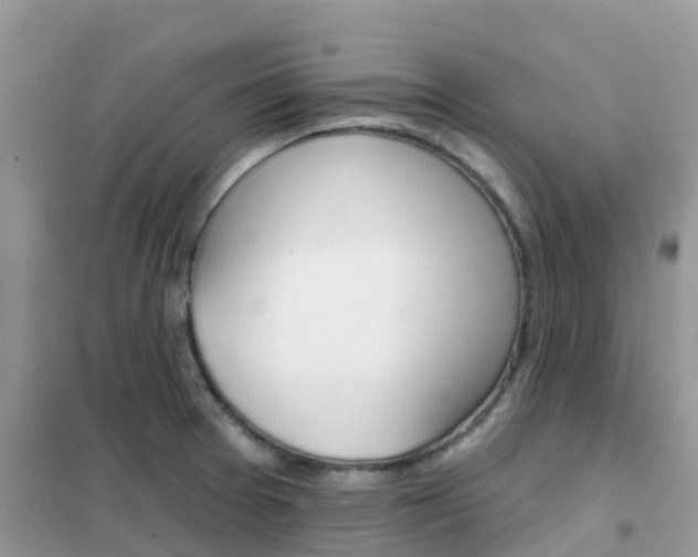 X0000102361377200808010949