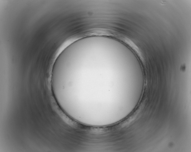 X0000102361378200808010949