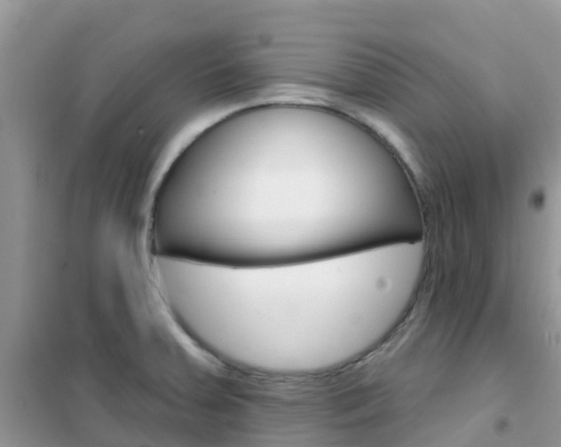 X0000102361379200808010949