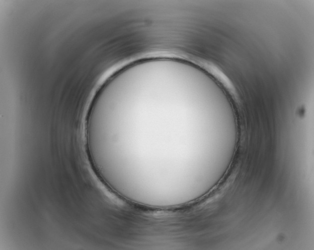 X0000102361380200808010949