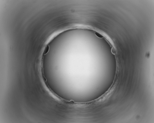 X0000102361381200808010949