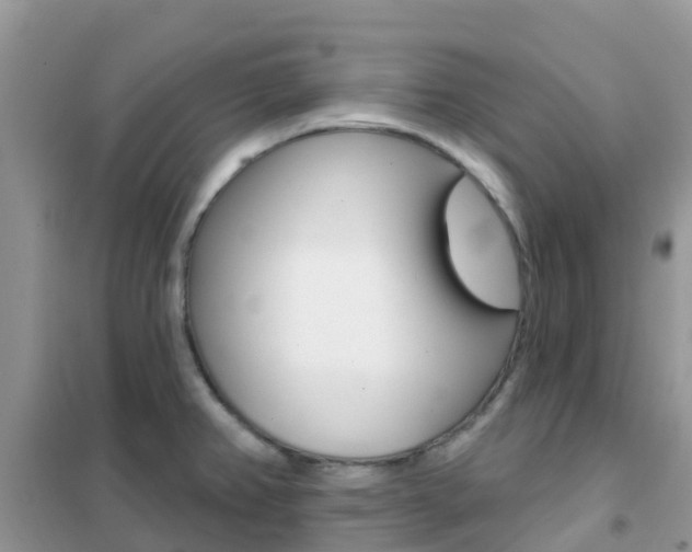 X0000102361382200808010949