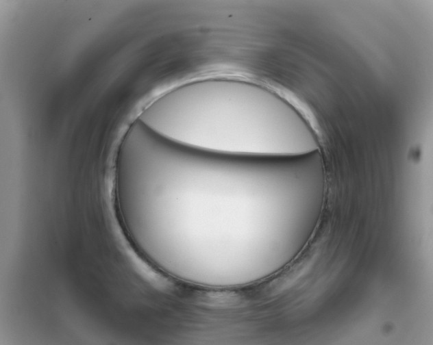 X0000102361383200808010949