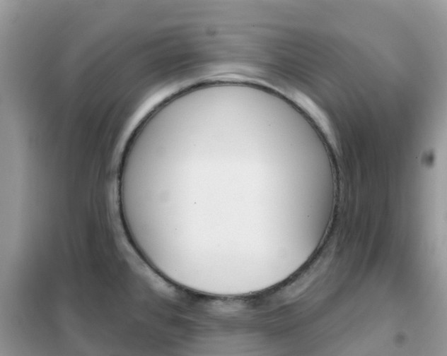 X0000102361384200808010949