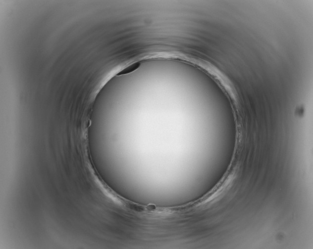 X0000102361385200808010949