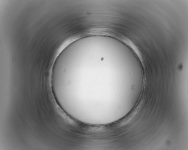 X0000102361386200808010949