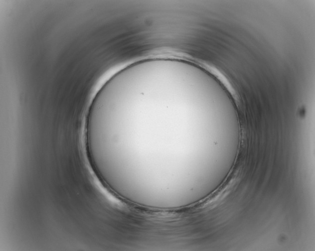 X0000102361387200808010949