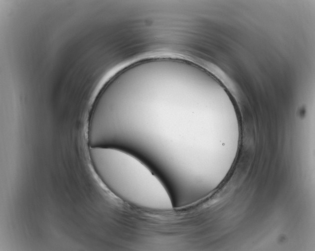 X0000102361388200808010949