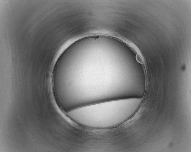 X0000102361389200808010949