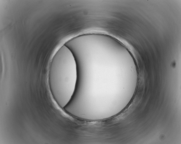X0000102361390200808010949