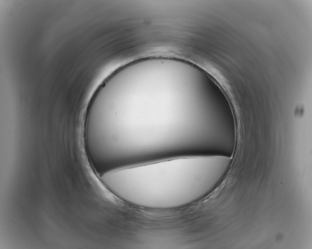 X0000102361392200808010949