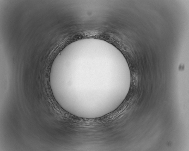 X0000102361393200808010948