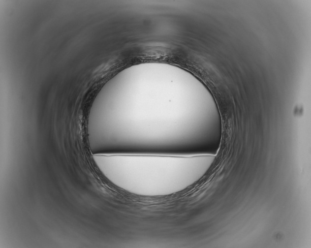 X0000102361394200808010948
