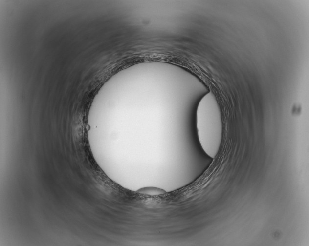 X0000102361395200808010948