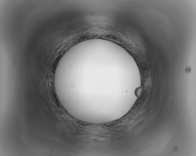 X0000102361397200808010948