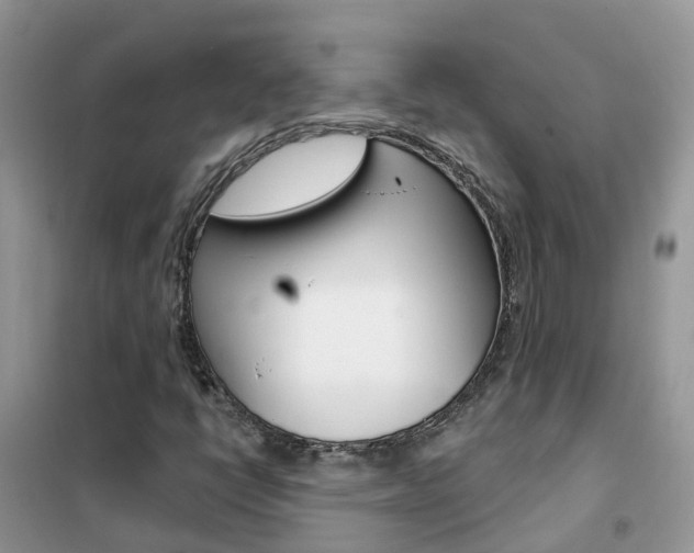 X0000102361398200808010948
