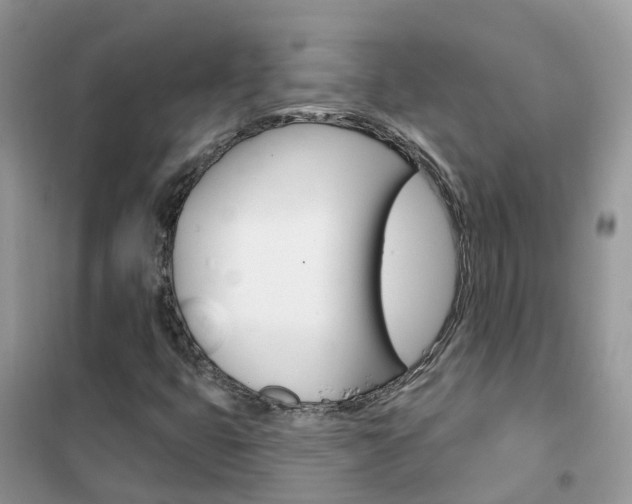X0000102361399200808010948