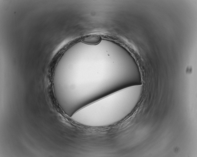 X0000102361400200808010948