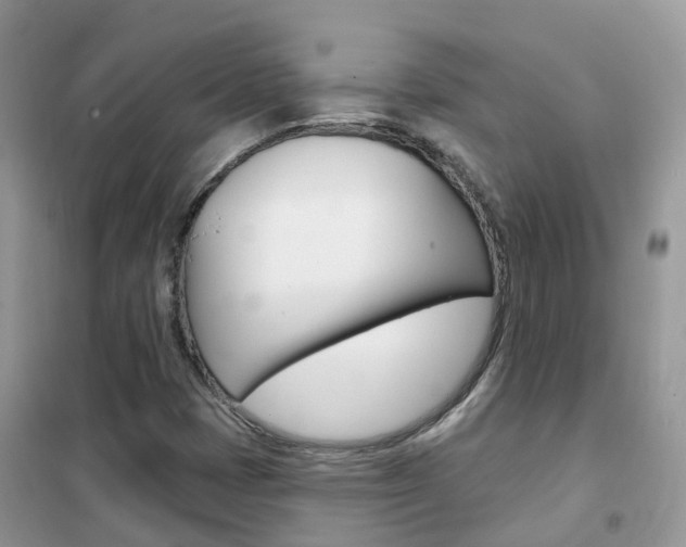 X0000102361401200808010948