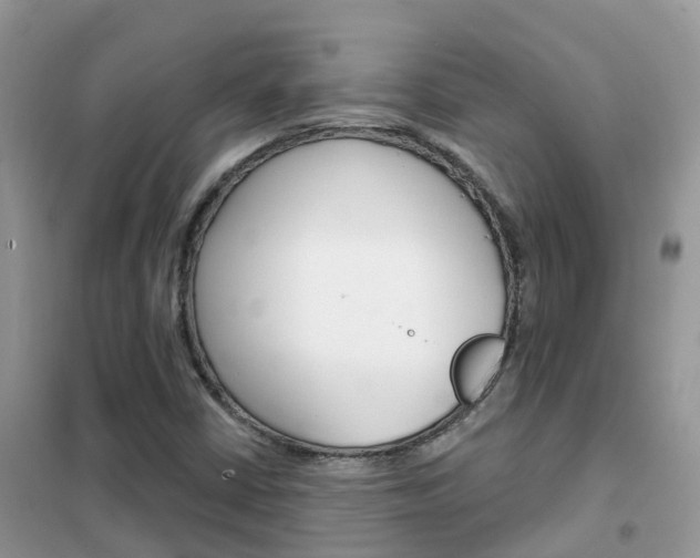 X0000102361402200808010948