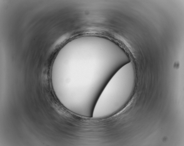 X0000102361403200808010948