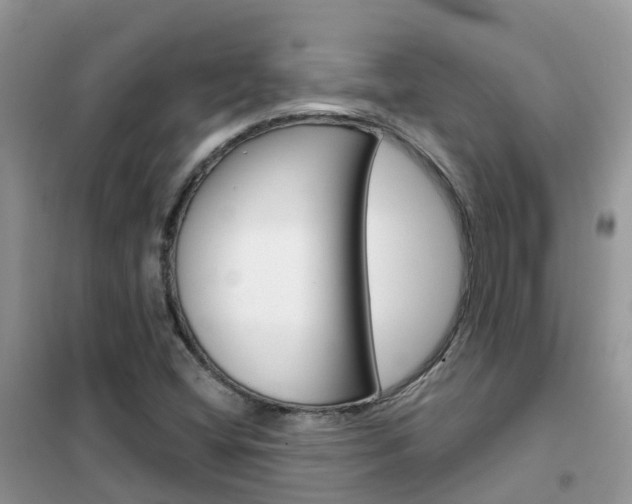 X0000102361404200808010948