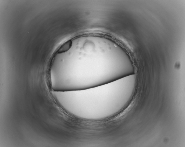 X0000102361405200808010948