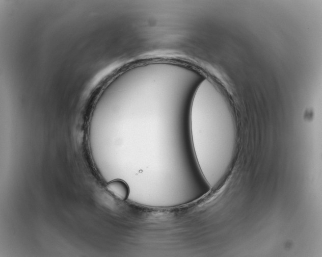 X0000102361406200808010948