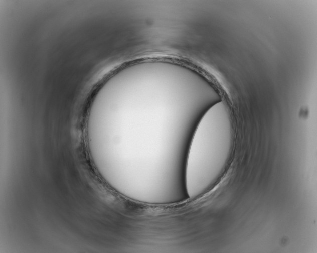 X0000102361407200808010948