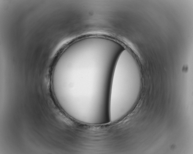 X0000102361408200808010948