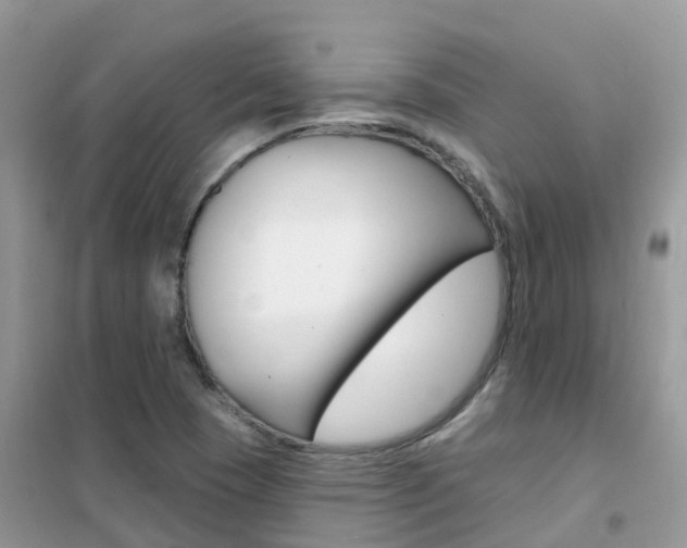 X0000102361409200808010948