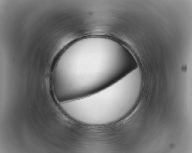X0000102361410200808010948