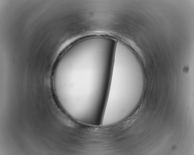 X0000102361412200808010948
