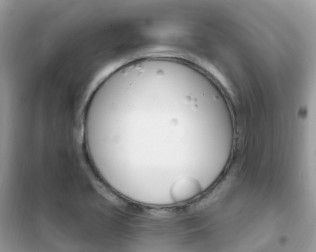 X0000102361413200808010948