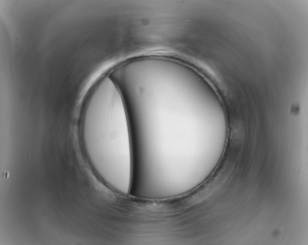 X0000102361414200808010948