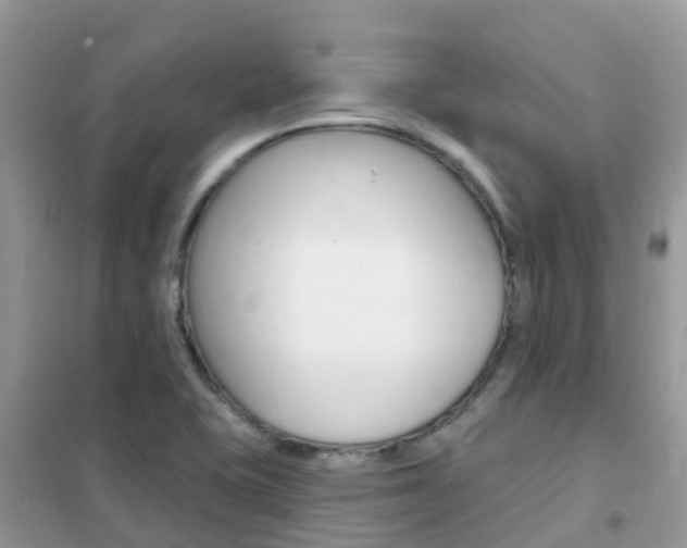 X0000102361415200808010948
