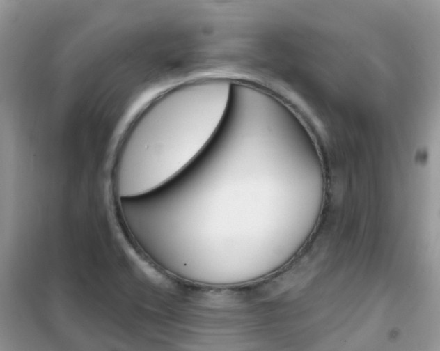 X0000102361416200808010948