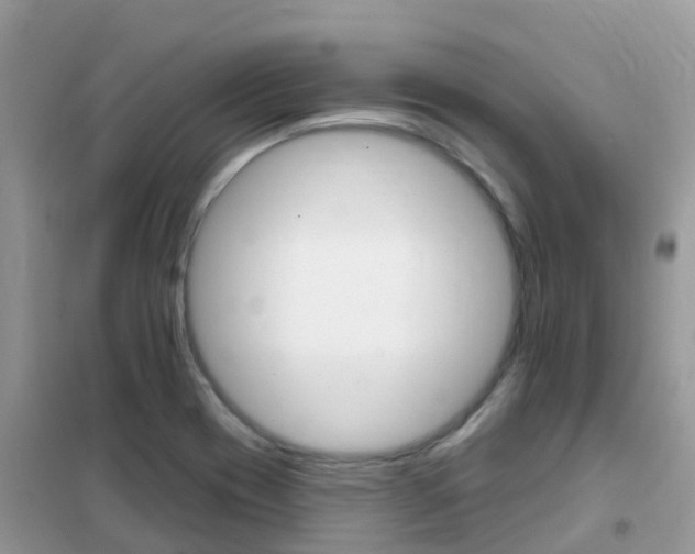 X0000102361417200808010948