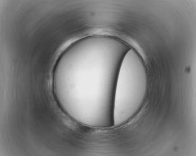 X0000102361419200808010948
