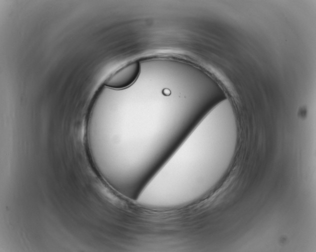 X0000102361420200808010948